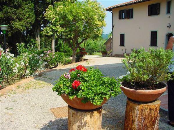 Fattoria Casanova Vila Palaia Exterior foto