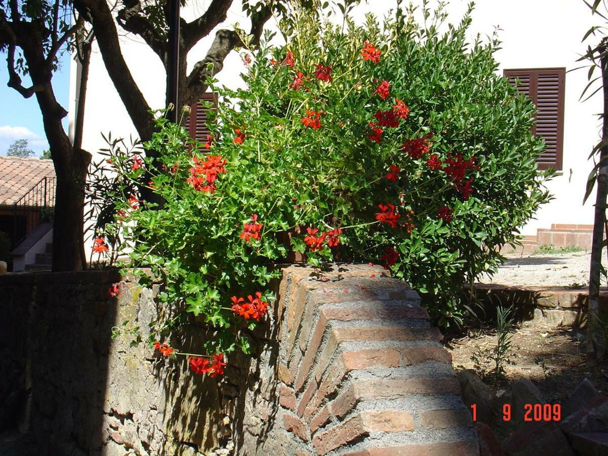 Fattoria Casanova Vila Palaia Exterior foto