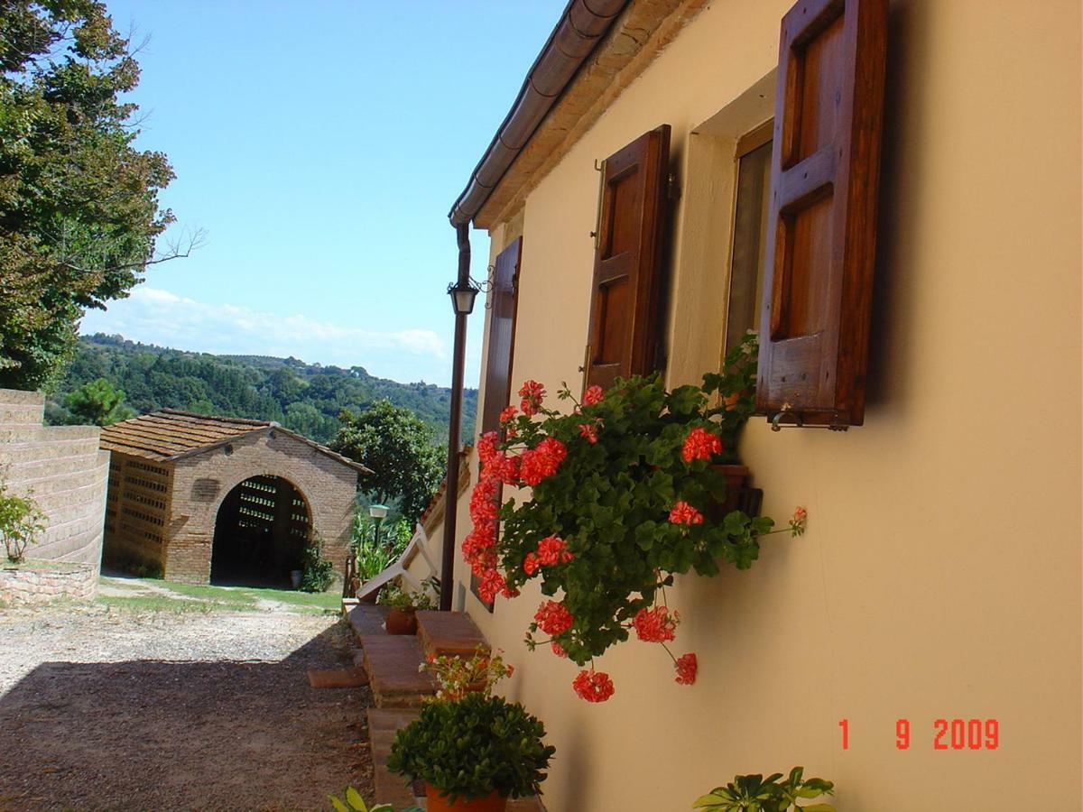 Fattoria Casanova Vila Palaia Exterior foto